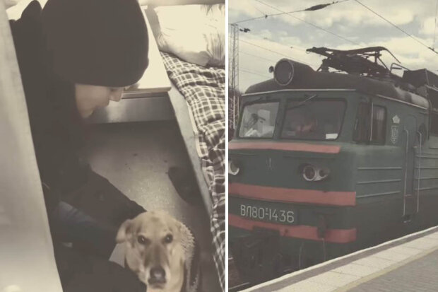"Konečně se mi splnil můj sen. Velmi jsem chtěla vzít svého psa z Charkova": Jak lidé pomohli psu dostat se z Charkova do Oděsy