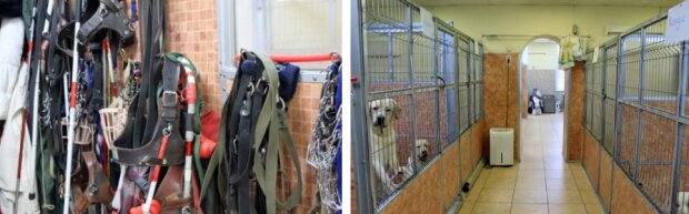 Fotografie: asi.org.ru