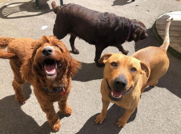 Fotografie: laykni.com