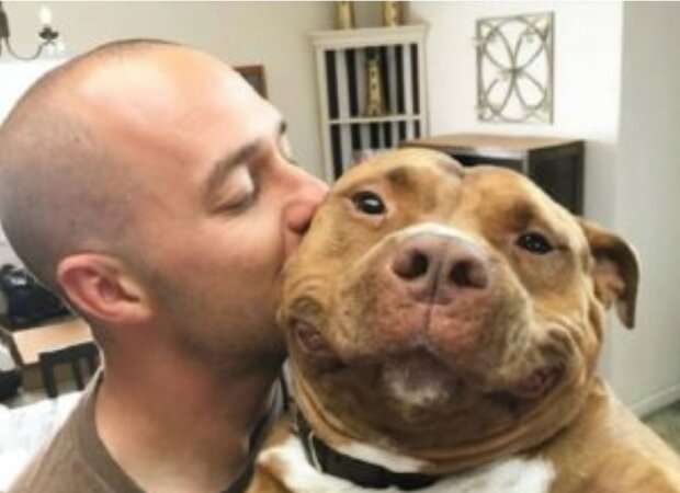 Pitbull Knedlíček se nepřestává usmívat od doby, co opustil útulek. Jeho dojemné fotografie Vás zahřejí u srdce