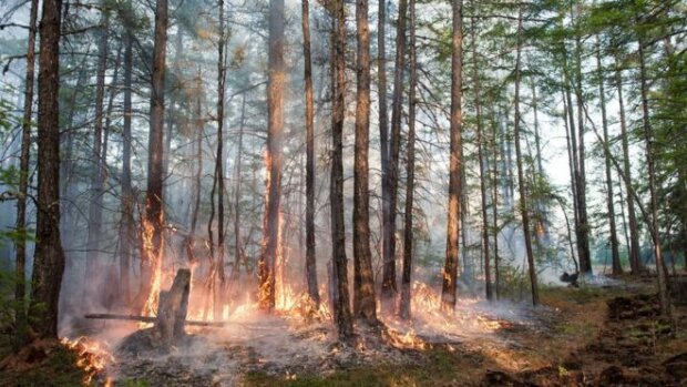 Do Arktidy vstoupilo rekordní teplo: byly zjištěny dopady změny klimatu