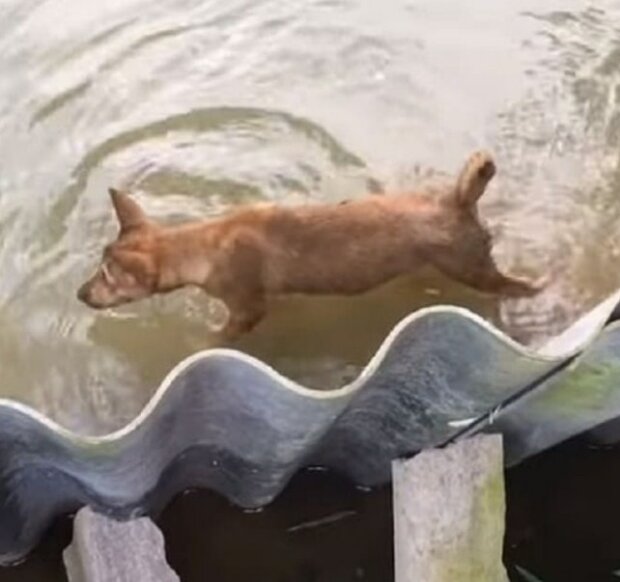 Zdroj fotografie: mur.tv