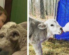 Fotografie: lemurov.net