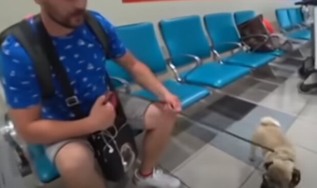 Létání s domácími mazlíčky. Foto: snímek obrazovky YouTube