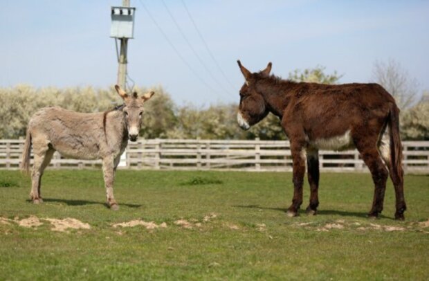 Fotografie: lebenweb.com
