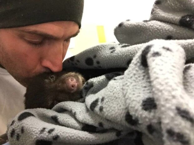 Medvěd a muž. Foto: snímek obrazovky storyfox.ru