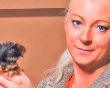 Malá Macy je možná nejmenší pes na světě