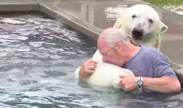 “V dětství mě kousala”: muž se již třiadvacet let přátelí s bílým medvědem. Dokonce spolu chodí plavat
