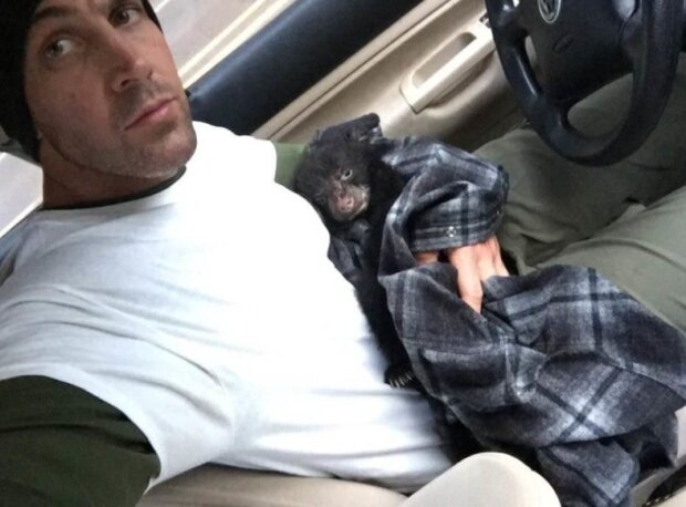 Medvěd a muž. Foto: snímek obrazovky storyfox.ru