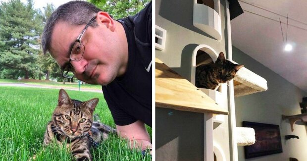 Páníček se rozhodl postavit pro své kočky domečky a vyrobil skutečné kočičí vily. S visutým mostem