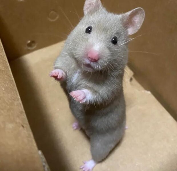 Fotografie: reddit.com