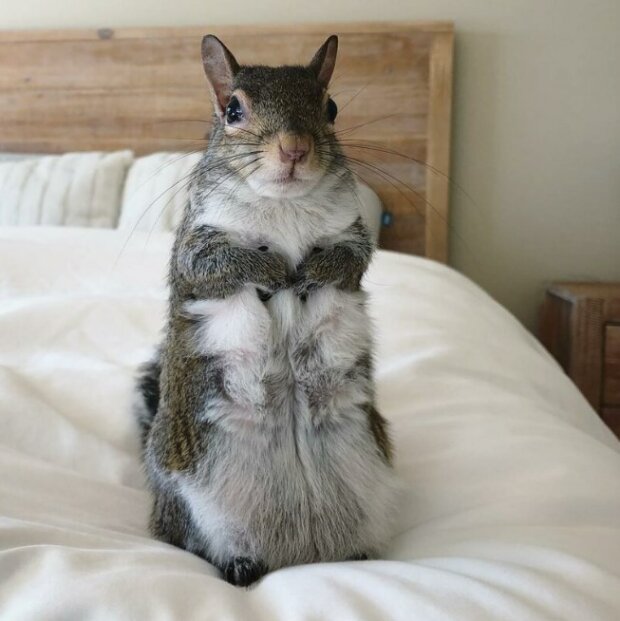 Zdroj fotografie: instagram.com