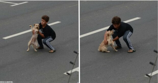 Teprve jedenáctiletý brazilský chlapec prokázal neuvěřitelnou odvahu, aby zachránil psa. "Je to malý hrdina a všichni by si z něho měli vzít příklad"