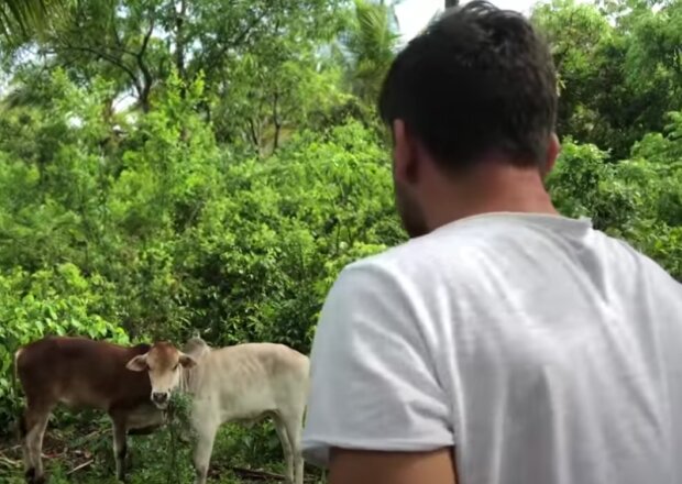 Dovolená. Foto: snímek obrazovky YouTube