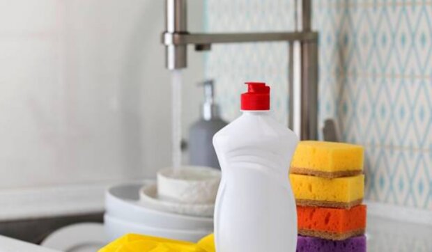 Houbičky. Foto: snímek obrazovky YouTube