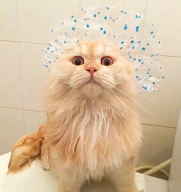 Fotografie: laykni.com