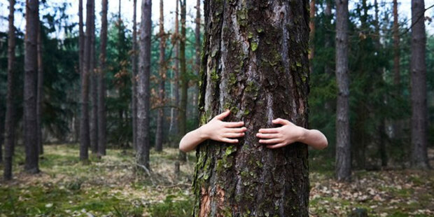 Proč dívka objímala strom velmi, velmi dlouho