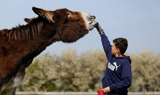 Fotografie: lebenweb.com