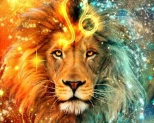 Fotodrafie: i.pinimg.com