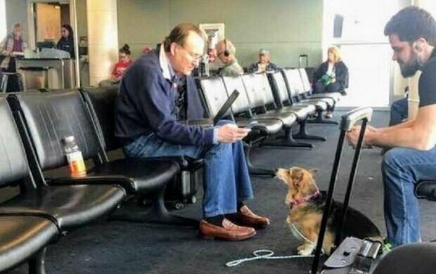 Zajímavý příběh na letišti: Pes spěchal k cizinci