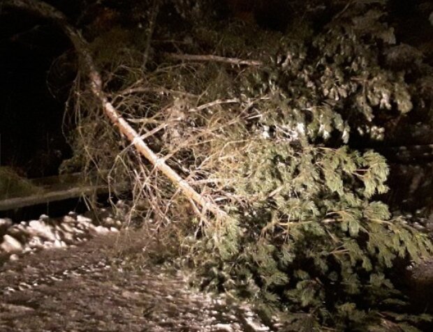 Sněžení. Foto: snímek obrazovky tn.nova.cz