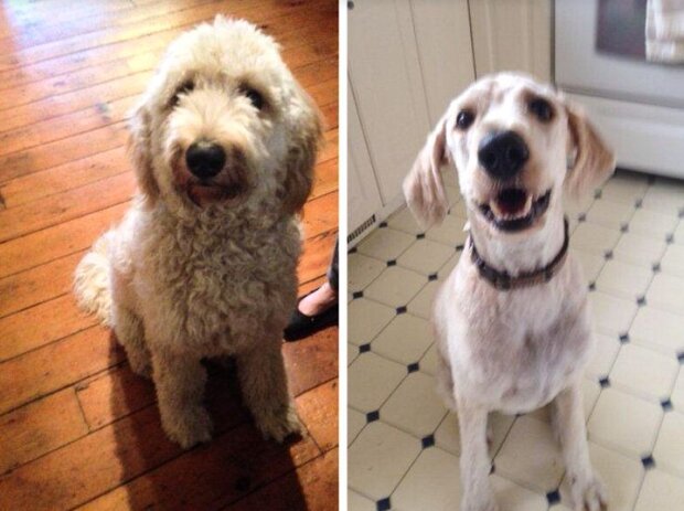 Fotografie: duck.show