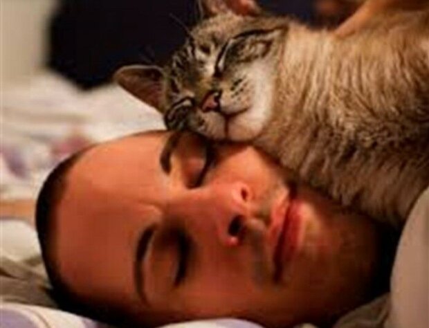 Fotografie: duck.show