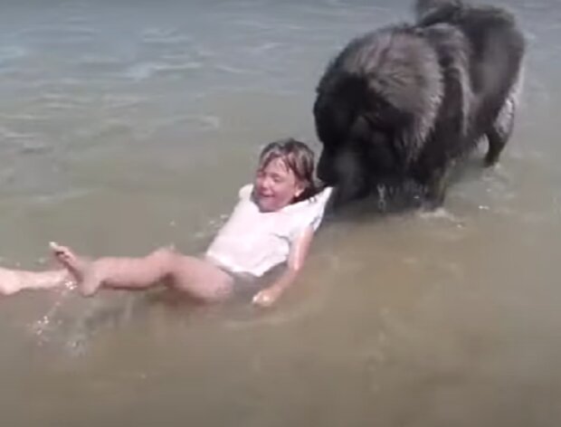 Zvíře a ditě. Foto: snímek obrazovky YouTube