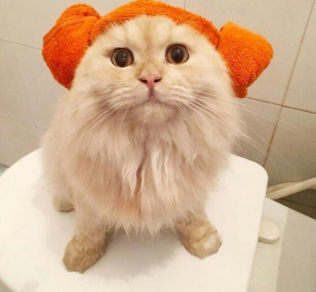 Fotografie: laykni.com