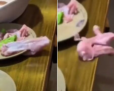 Syrové kuřecí prso v restaurace uteklo z talíře