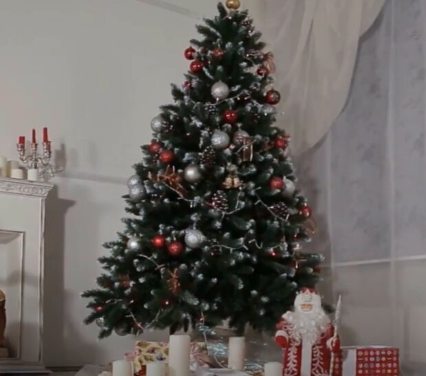 Silvestra. Foto: snímek obrazovky YouTube