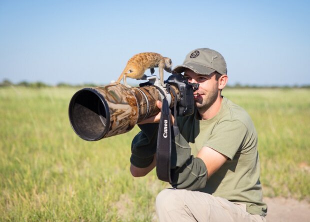 Surikaty. Foto: snímek obrazovky udivitelno.com