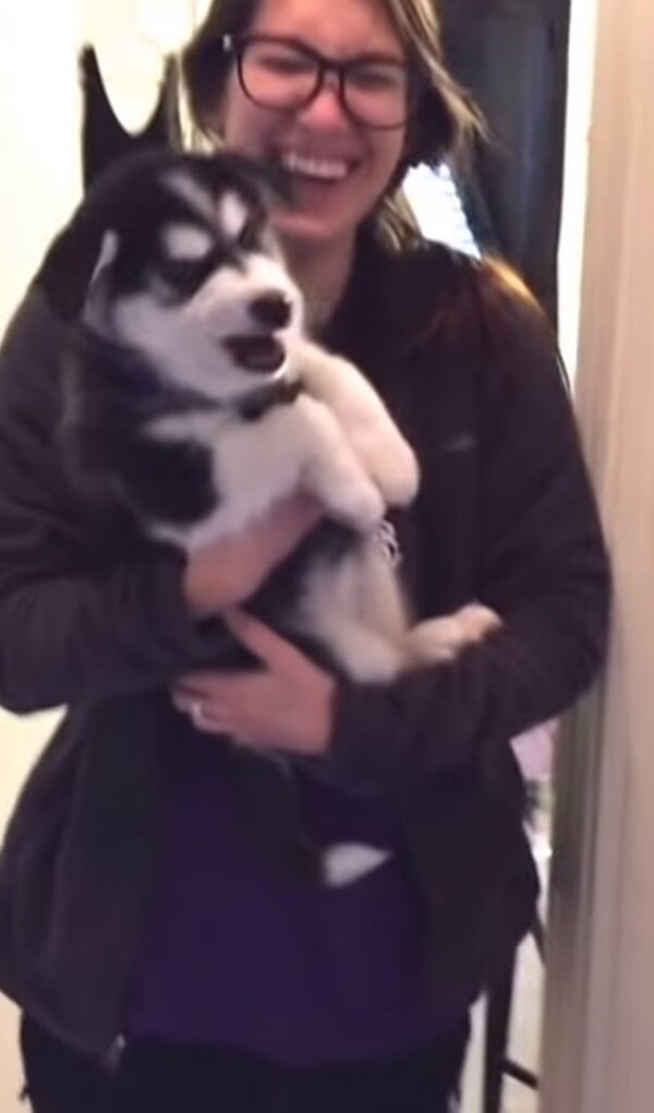 Fotografie: duck.show