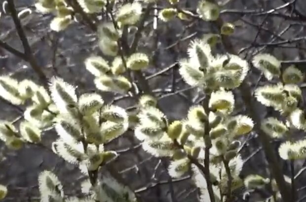 Blíží se druhý březnový víkend: Jaké počasí slibuje předpověď. Meteorologové promluvili