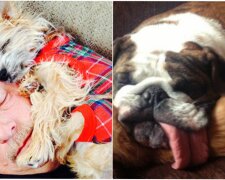 Fotografie: factsinter.com