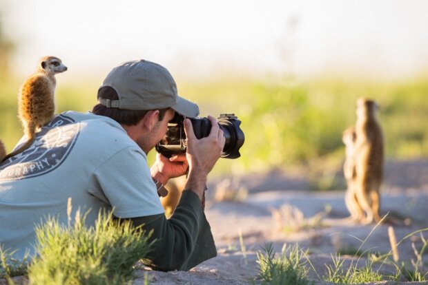 Surikaty. Foto: snímek obrazovky udivitelno.com