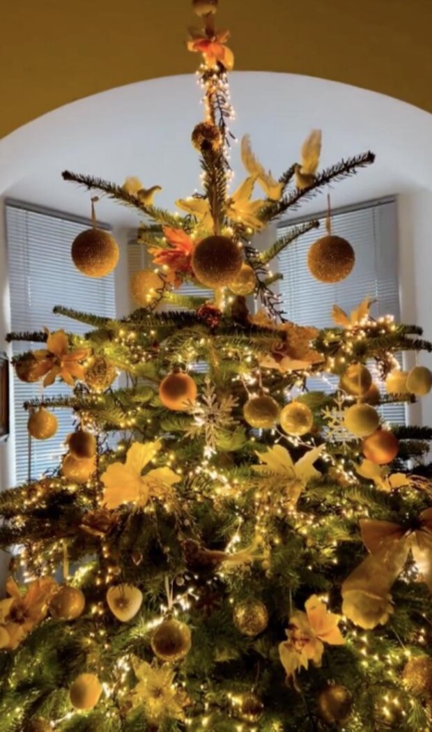 Stromeček Ivy Kubelkové. Foto: snímek obrazovky extra.cz