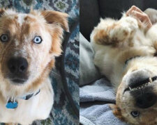 Jaký dárek si člověk vybral k 25. narozeninám