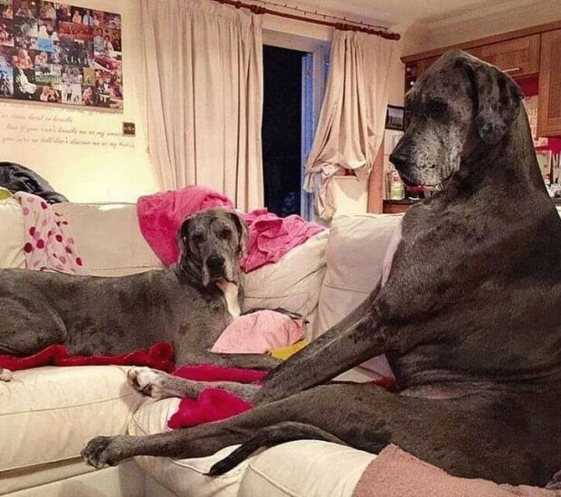 Fotografie: leprechaun.land