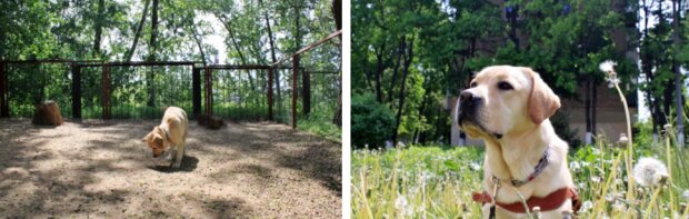 Fotografie: asi.org.ru