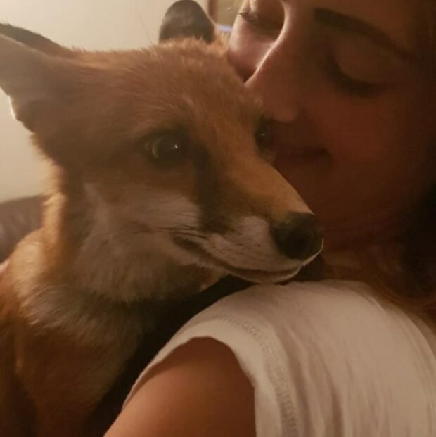 Zdroj fotografie: storyfox.ru