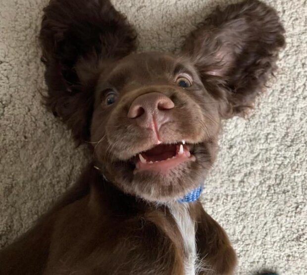 Fotografie: reddit.com