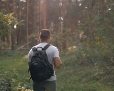 Muž se ztratil v lese a 18 dní se živil houbami:  Jak se mu podařilo přežít