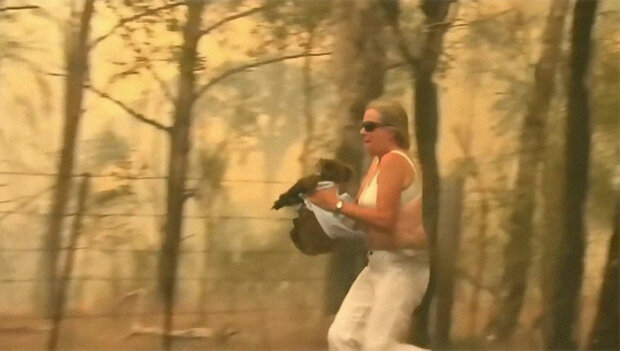 Žena obětovala své oblečeni, aby zachránila koalu před lesním požárem
