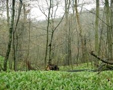 Do Česka se vrací zimní počasí: Meteorologové řekli, kde hrozí sněžení. Je známo, jak bude