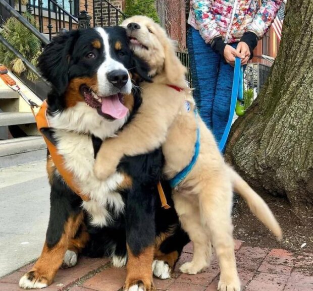 Fotografie: reddit.com