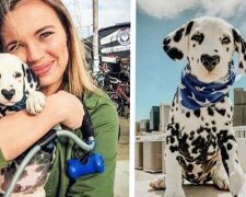 Fotografie: leprechaun.land