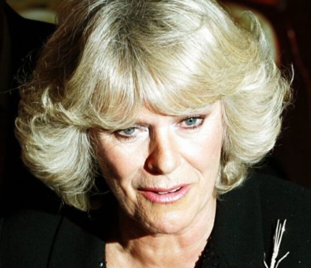 Camilla. Foto: snímek obrazovky tsn