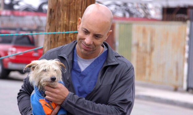 V Kalifornii veterinář 9 let léčí zvířat lidé, kteří nemají domov
