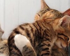 Jsou navlas stejné: fotografie matek a jejich malých kopii